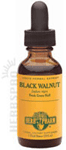 black walnut extract