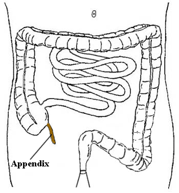  Appendix