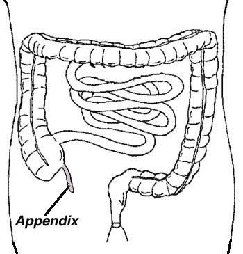  Appendix